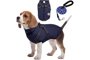 HYWEAN NEDS Ropa para Abrigo Perro Pequeño para Perros, Ropa de Abrigo con Correa, Chaqueta de Invierno para Perros, Regalos para Perros（XXL,Azul