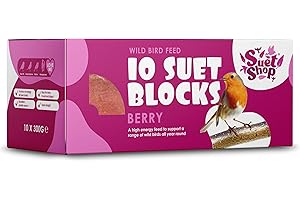 Suet Shop - Berry Flavoured Suet Blocks for Wild Birds, 300g (Pack of 10) - Enriched with Human Grade Beef Tallow, High in Energy & Protein - All-Season Bird Feed - Manufactured In The UK