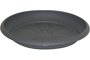 TESTRUT Untersetzer Linda 78 cm Außendurchmesser Kunststoff Unterteller Untertasse