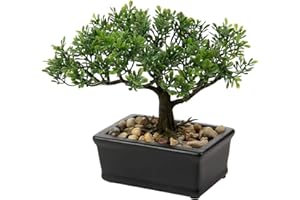 BRIFUL Árbol de bonsái artificial de 6.5 pulgadas, plantas artificiales japonesas bonsái, plantas artificiales de pino sintético en maceta para interiores, hogar, oficina