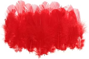 PATIKIL 1.5-3 Inch Saddle Hackle Rooster Feather, 300 Pcs Bulk Natural Feathers Fluffy Craft Feathers for Dream Catcher Earrings Pendant, Red