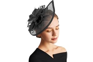 DRESHOW Fascinator Hüte für Damen Pillbox Hut mit Schleier Stirnband und Einer Gegabelten Clip Tea Party Kopfbedeckung