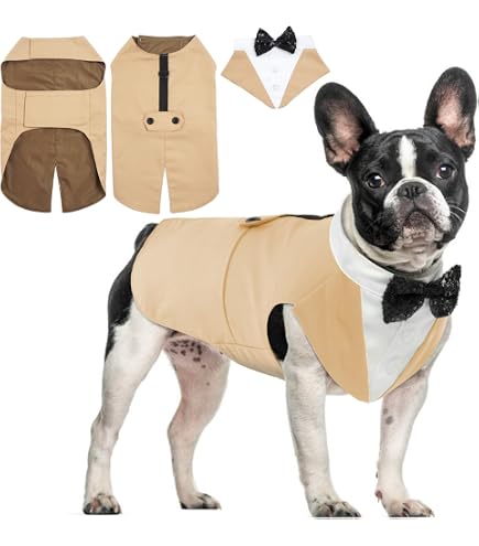 Abito Da Sposa Per Cagnolini - Set Completo Con Corona, Gonna E Colletto Per Feste