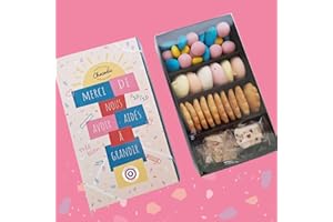 CHOCODIC MAÎTRE ARTISAN CHOCOLATIER CHOCOLAT FIN D'ANNEE SCOLAIRE MERCI MAITRESSE - VERSION MERCI MAITRESSE COFFRET 4 SPECIALITES SOPHIA GM DE CHOCOLAT - COFFRET CADEAU 280g