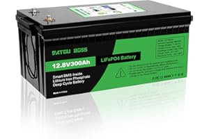 DATOUBOSS 12V 300Ah LiFePO4 Lithium Battery Integrated 200A BMS 15000+ Cycles Deep Cycle Leisure Battery 3840Wh Power Support in Series/Parallel Connection,Perfect for Solar, RV, Off-Grid