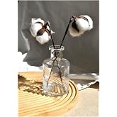 Cam Mini Vazo Şeffaf Dekoratif Minimal Şişe 210 ml 12 cm 1 Adet