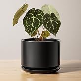 LE TAUCI 17cm Ceramic Flower Pot with Saucer and Drainage Hole, Modern Planter for Indoor Plants, Sturdy and Durable, Home De