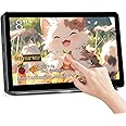 Akntzcs Small Monitor Touch Screen Monitor 8 Inch HD 800x480 HDMI Mini Portable Monitor IPS LCD Display for PC Laptop Ras Pi, Built-in Speakers