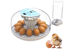 OKKÖBI Okkobi M12 | Egg Incubator with Automatic Egg Turning and Humidity Control - 12/24 Eggs, 360° View, Easy to Use and Clean - Egg Incubators for Hatching Eggs - Incubadora de Huevos de Gallina