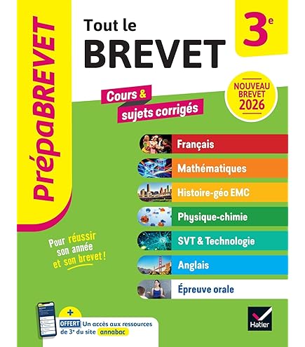 Nouveau Déménagement De Cheveux Pour Animaux De Compagnie Glove Gants Antistatiques Reutilisables A Double Faces Utilises Pour Le Nettoyage Lepilation Et La Beaute Pour Les Canapes 3pcs 90694820