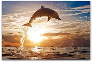 GLASS WALL ART Startonight Impression Sur Verre Acrylique Dauphin Saut, Imprimée Tableau Oeuvre Originale Motif Moderne Décoration Prêt à Accrocher 60 x 90 cm