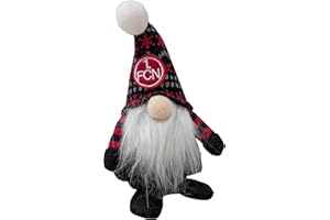 1. FC Nürnberg Wichtel