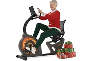 Niceday Bicicleta Estática Reclinada con Respaldo para Mayores, Magnética con 16 Niveles, Ultrasilenciosa, Pantalla LCD con Pulso, Bajo Impacto Ideal para Rehabilitación