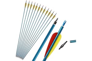 Huntingdoor 12 Pcs 31" Aluminium Arrows Archery Hunting Arrow with Removable Tips Target Practice Arrows for Compound Bow Recurve Bow Longbow