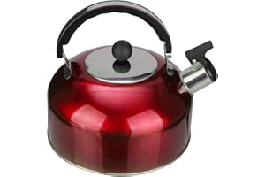 Housoutil Bouilloire Sifflante Cuisinière en Acier Inoxydable de 2 litres Bouilloire de Camping de Plaques de Cuisson pour Cuisinière à Gaz Plaque à Induction