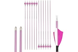 limaity 12 Stück Bogenschießen Carbonpfeile 400/500/600/700/800/900/1000 Spine mit True Feather Shooting Bogenschießen Praxis Jagdpfeil für Recurve-Bogen Compound-Bogen