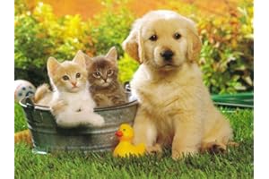 PARTYLANDIA-SHOP CIALDA in ostia CANI E GATTI per DECORAZIONE TORTA