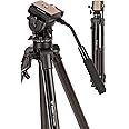 Prolite Tripod VCT 998RM (Max Height 67 inch | Payload Upto 5 kg) with Fluid Video Head | Mobile Holder & Carry Bag Included