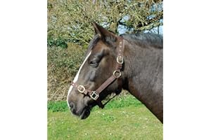 Rhinegold Medidor de Nailon