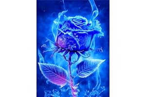 KUIZHEN 5D DIY Diamant Painting, Full Drill Diamond Malerei, DIY Diamond Schöne Stickerei Malerei Kreuzstich für Home Wall Decor 30 x 40cm