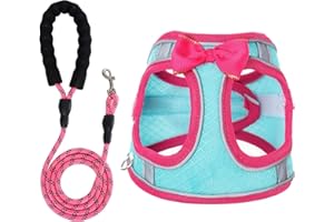 WENDISI Dog Harness with Leash Set, Step-in Breathable Puppy Cat Dog Vest Harnesses, No Pull Adjustable Reflective Puppy Harness with Soft Padded Vest for Extra-Small/Small Medium Large Dogs and Cats