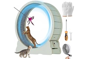 MIWOOYY Ruota per Gatti Grandi per Correre da 100cm - Tapis Roulant per Gatti in Legno Massello Verde per Interno, Ruota per Esercizi di Sicurezza per Gatti con Serratura & Design del Gap Ridotto al Minimo
