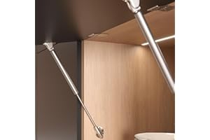 HEVOLUS Pistone a Gas KRABY rialza Originale Italiana Ferramenta LIVENZA– Asta FRIZIONATA L.164, 244, 355, 480 per Ante Cucina e Living – Ammortizzatore per Mobili e Pensili Lift up spring (L.244 mm 60N)