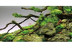 MIRRORANG 61x30cm Pietre Rami Acquario Sfondo Fiume Letto & Lago Acquario Vinile Sfondo Pianta Acquatica Pesce Serbatoio Sfondo