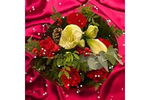 DARICO Christmas Songs - Flowers Delivery Next Day Prime UK Best Gift Is A Fresh Flower Bouquet Suitable for Thank You Birthday Congratulations Get Well Soon - Anniversary and more…