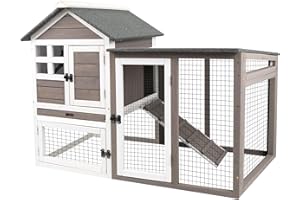 PortoAlegre Conigliera con recinto, 2 piani in legno impregnato, con 4 ante di accesso, impermeabile, per interni ed esterni, 122 x 92 x 62 cm