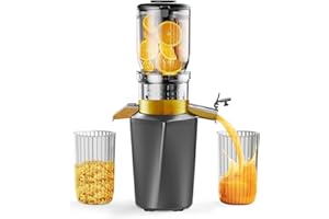 ‎FYENKFAR Fyenkfar ENTSAFTER GEMÜSE UND OBST TESTSIEGER - ENTSAFTER SLOW JUICER für mehr Vitamin und Enzyme, OBST und GEMÜSE in ihrer reinsten Form - für gesunde Ernährung und Familienfeiern (silbergrau)