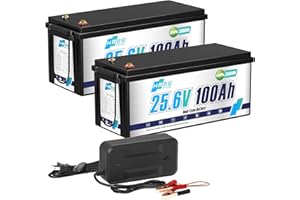 HRBEENERGY 24V 100AH LiFePO4 Batteria 2 Pack, BMS integrato 100A e celle di grado A, 24V batteria ricaricabile al litio ferro fosfato, 4000-15000 cicli profondi per RV, Solare,Motore da traino，Barca