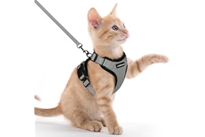 rabbitgoo Zestaw szelek dla kota i smyczy, szelki dla kociąt zabezpieczające przed ucieczką ze smyczą, metalowy pierścień, lekka, miękka, odblaskowa regulowana kamizelka dla małego kota do spacerów i