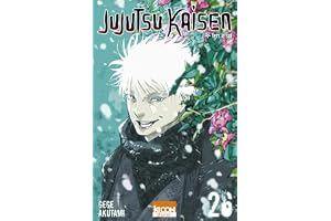Jujutsu Kaisen T26 (26)