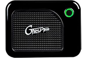 Mooer GTRS Guitars PTNR Mini Bluetooth Amplifier (GCA5), 5 Watt - Black