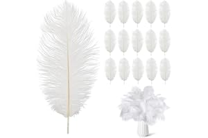 HCYANGZHANG 20 Stück Straußenfedern,Natürliche Straußenfedern 20-25cm Strauß Feder Dekofedern DIY Basteln Zubehör für Hochzeitsdekoration Party Tischdekoration Zuhause Dekor(Weiß)
