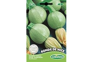Germisem Ronde de Nice Semillas de Calabacín 3 g, EC4017