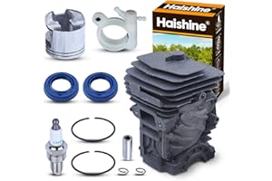 HAISHINE Kit pistone Cilindro Nikasil 44mm per Stihl MS251 MS 251 Motosega con Rivestimento Interno
