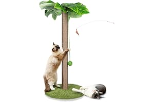 Masthome Griffoir pour Chats, 85 Cm Poteau Chat, Colonne en Sisal Naturel et Base de Couverture en Moquette Douce avec Boule Suspendue, Griffoir pour Chats de Tous âGes - Vert