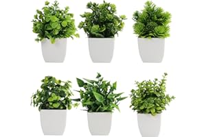 QINGYIWL Mini Künstliche Pflanzen Plastik Pflanze Mini KüNstliche Pflanzen Deko Pflanzen KüNstlich Kunstpflanze Klein Künstliche Pflanzen im Topf für Home Badezimmer Büro Tabelle Deko (grüner)