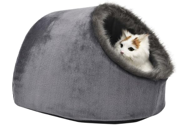 amazon cat beds uk