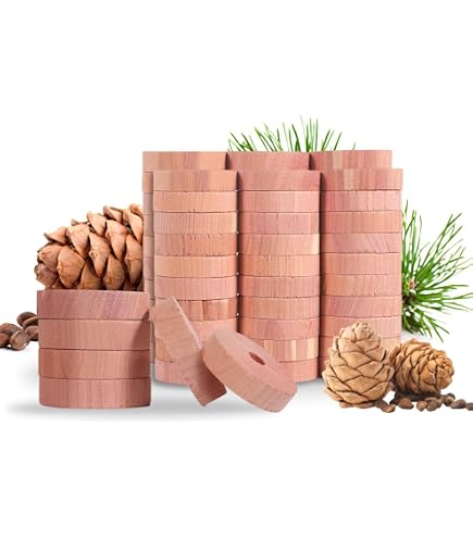 Anneaux En Cèdre Anti-Mites - Lot De 20, Naturels, Pour Armoire, Tiroirs, Protection Vêtements Et Linge