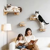 4 Piece Cat Wall Set Climbing Wall Scratcher Wall Catwalk Elements for Catwalks and Modular Shelves for Cats Furniture Feline