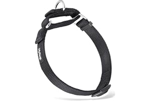Hyhug Durable Escape-proof Martingale Dog Collar for Medium Boy and Girl Dogs - Walking Training Daily Use. (Medium, Black)