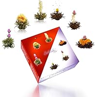 Creano Teeblumen Mix – Erblühtee in edler Geschenkbox - Weißer & Schwarzer Tee (6 Verschiedene Sorten Teerosen)