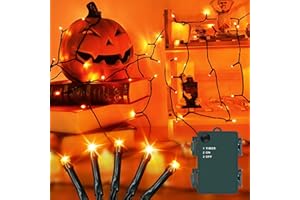 Isisyu Orange Halloween Lights Outdoor, 3M 30 LED Battery Operated Halloween Fairy Lights with 6-Hour Timer, Green Wire IP65 Waterproof Hallowe'en Decoration Lighting for Indoor Outdoor