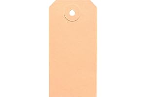 ‎BT-LABEL BT-Label 1000 Anhängeschilder 45 x 90 mm mit Loch (verstärkte Kartonöse), als Warenanhänger, Kartonanhänger, Anhängezettel, Papier-Anhänger, Anhängeetiketten