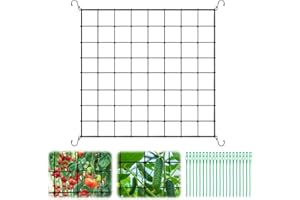 NVGVUP Grow Net, Elastic Trellis Net, 100 x 100 cm, Scrog Net, Plant Net with 4 Hooks for Plants, Vegetables, Fruits, Flowers, Grow Tent Net for Gardens, Balconies, Courtyards