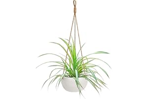 BELLE VOUS Maceteros Colgantes Cerámica Blanca Interior/Exterior 69 cm - Macetas Colgantes Cesta de Macramé Cuerda con Bucle - Macetero Colgante Uso Decorativo Jardines y Hogar – Tiesto Colgante