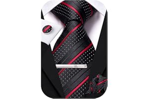 Hi-Tie Silk Ties for Men Pink Blue Black Mens Ties Set 4 PCS Necktie Pocket Square Cufflinks Clip Pin for Wedding